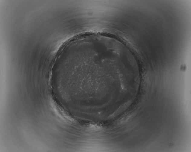 X0000111620592200907311205