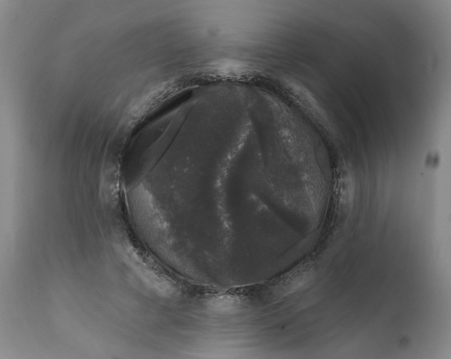 X0000111620593200907311205