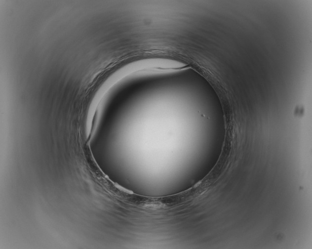 X0000111620595200907311205