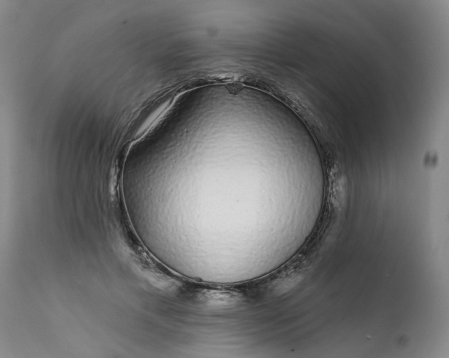 X0000111620597200907311205