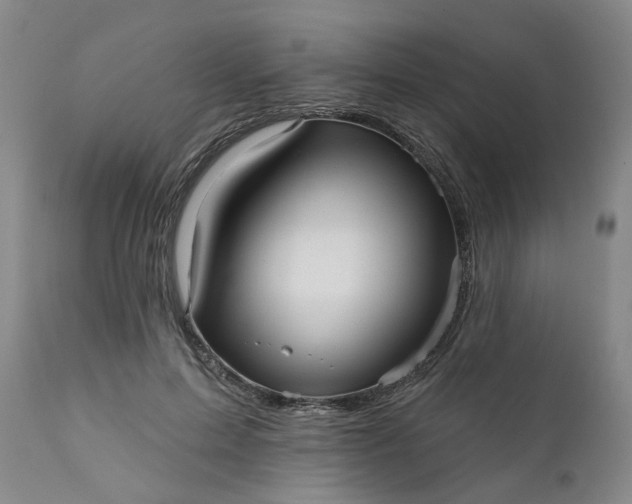 X0000111620599200907311205