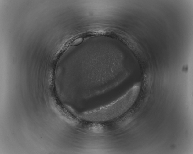 X0000111620600200907311205