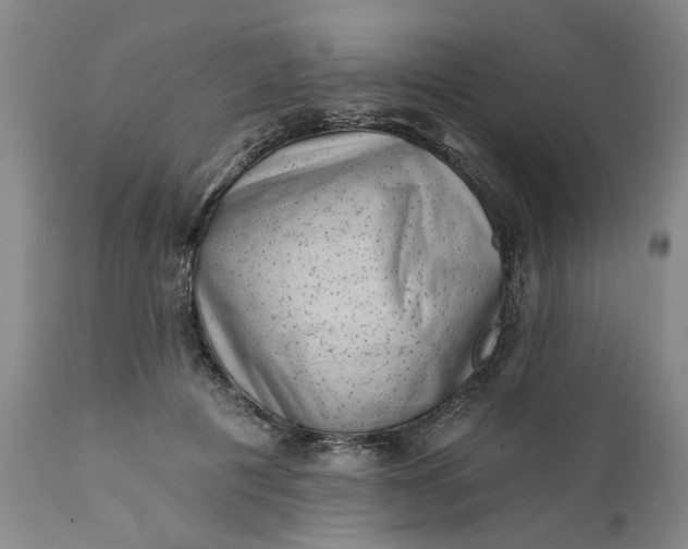 X0000111620601200907311205