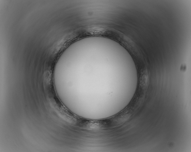 X0000111620604200907311205