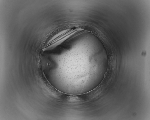 X0000111620605200907311204