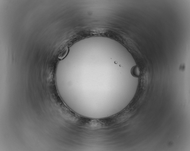 X0000111620608200907311204