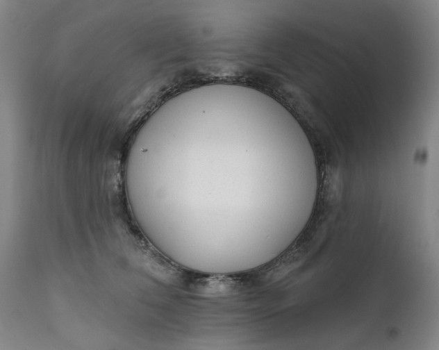 X0000111620612200907311204