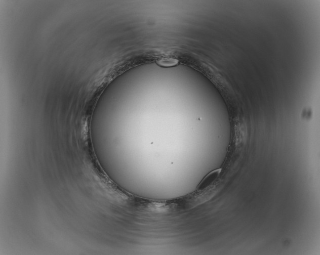 X0000111620613200907311204