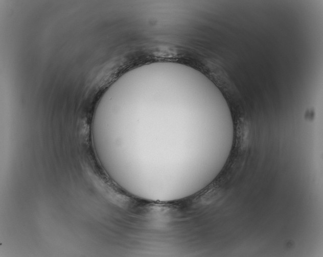 X0000111620614200907311204