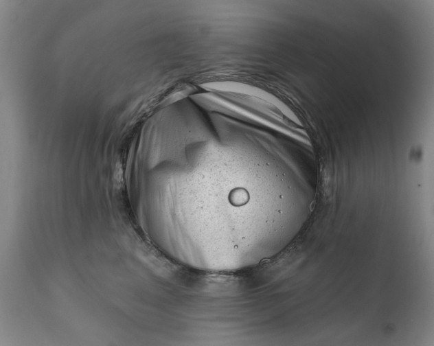 X0000111620617200907311204