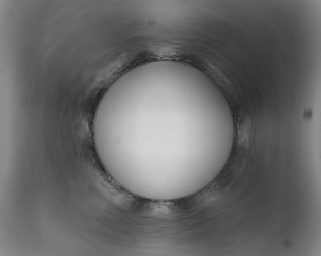 X0000111620618200907311204