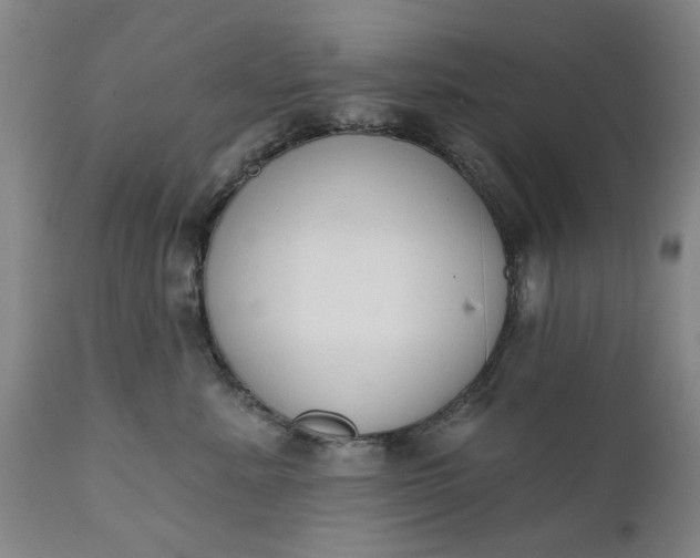 X0000111620619200907311204