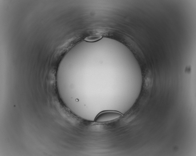 X0000111620620200907311204