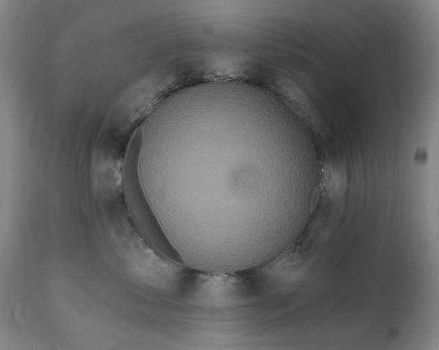 X0000111620621200907311204