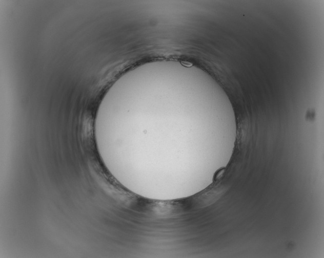 X0000111620623200907311204