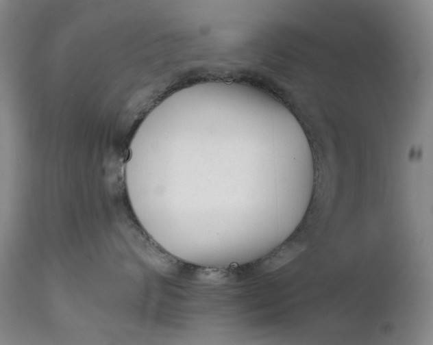 X0000111620624200907311204