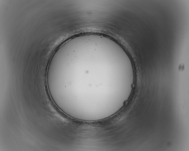 X0000111620625200907311203