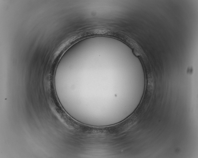 X0000111620626200907311203