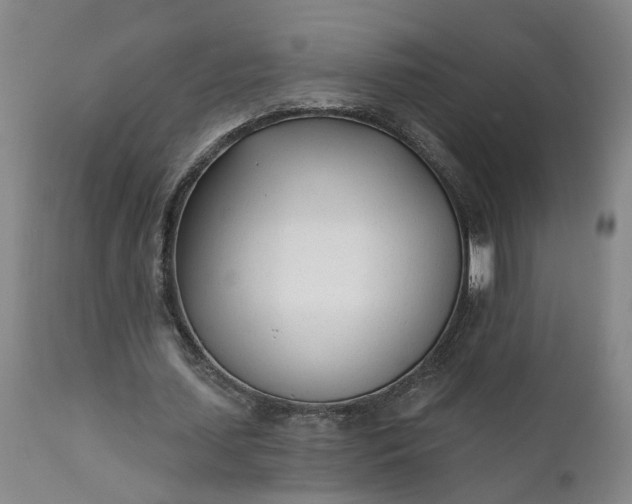 X0000111620627200907311203