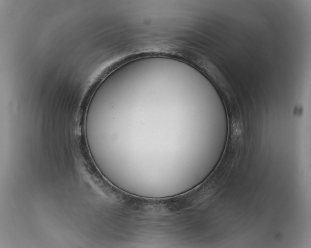 X0000111620628200907311203