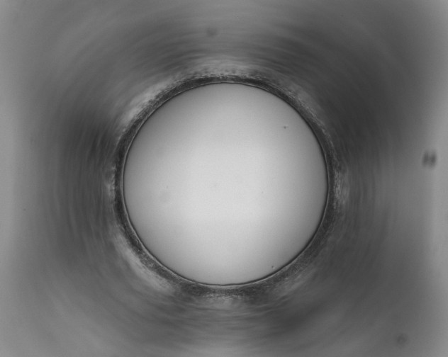 X0000111620629200907311203