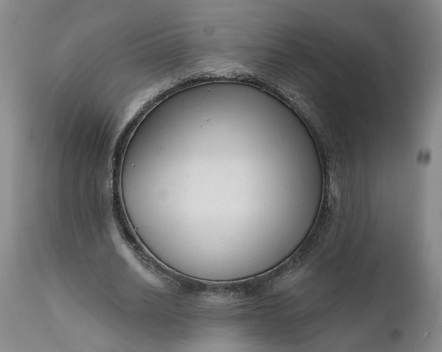 X0000111620630200907311203