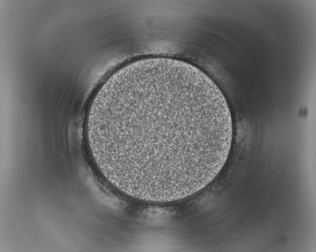 X0000111620632200907311203