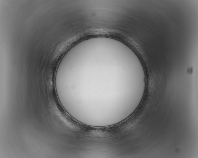 X0000111620633200907311203