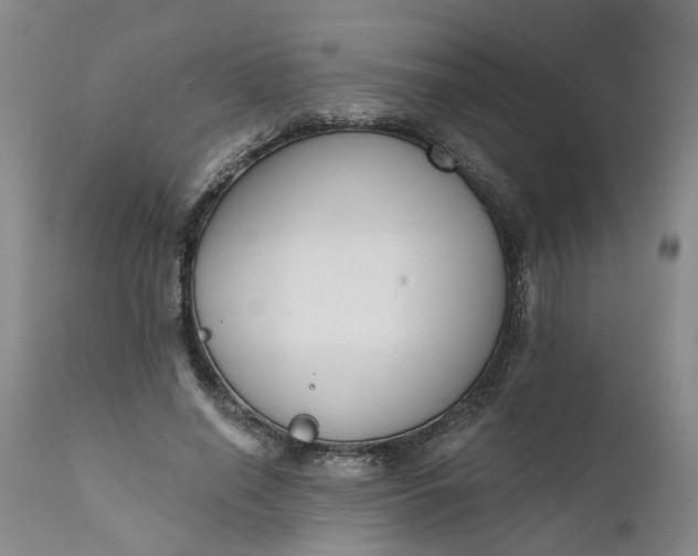 X0000111620638200907311203