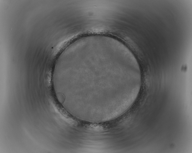 X0000111620640200907311203