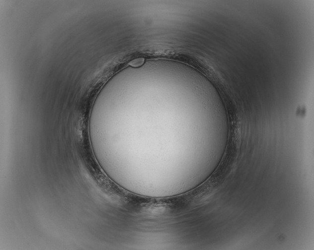 X0000111620643200907311203