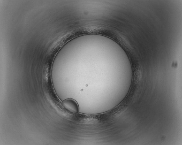 X0000111620644200907311203