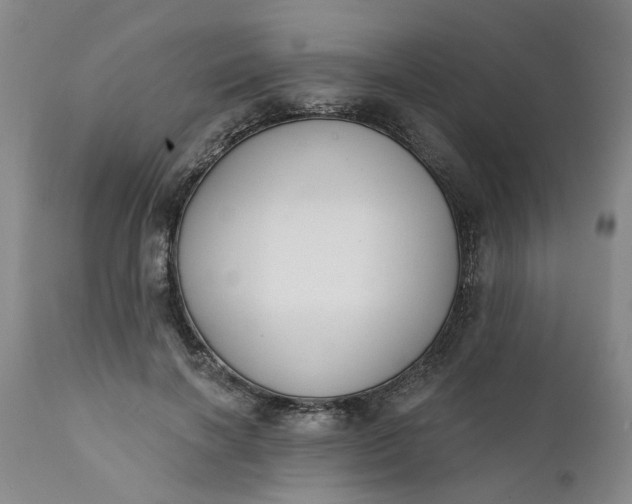 X0000111620646200907311203