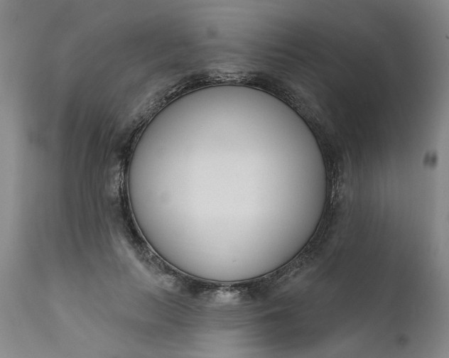 X0000111620647200907311204