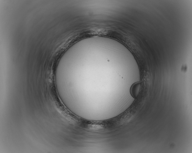 X0000111620649200907311204