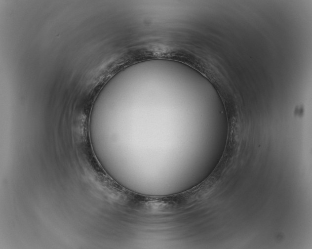 X0000111620650200907311204