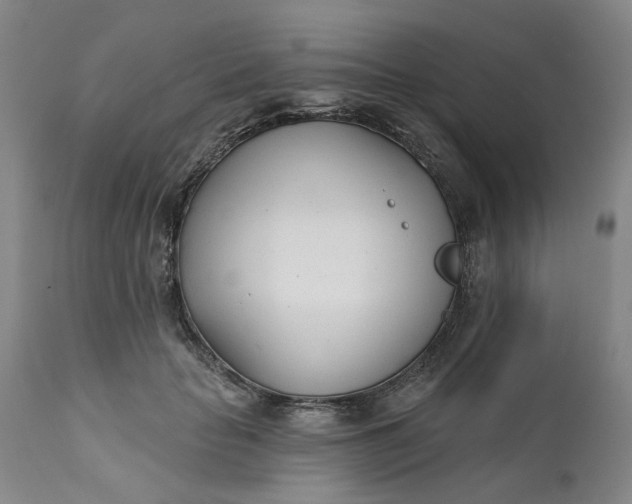 X0000111620653200907311204