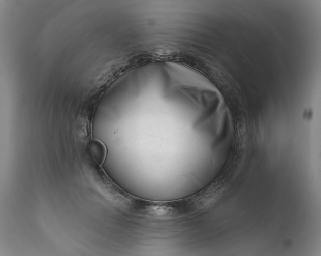 X0000111620654200907311204