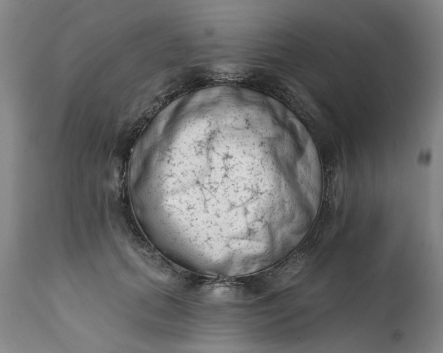 X0000111620655200907311204