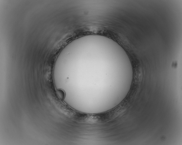 X0000111620656200907311204