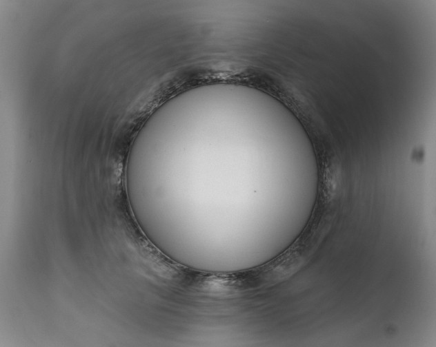 X0000111620657200907311204