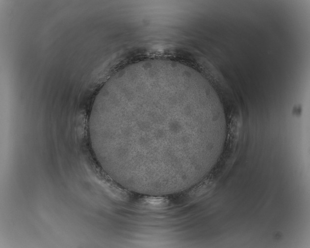 X0000111620659200907311204