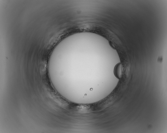 X0000111620660200907311204