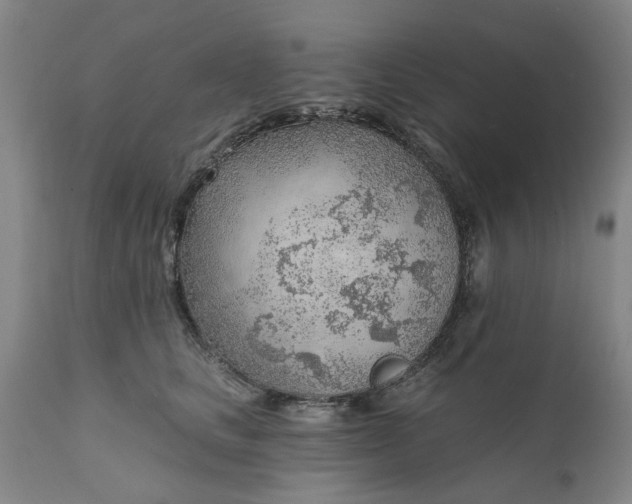 X0000111620661200907311204