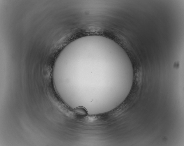 X0000111620662200907311204