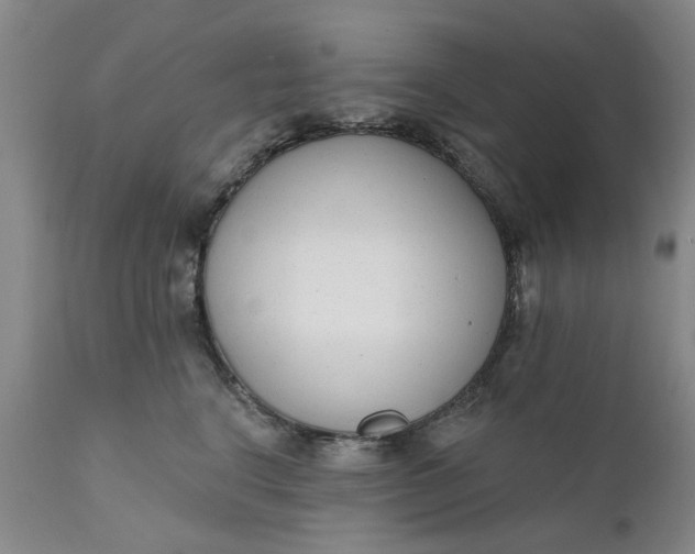 X0000111620664200907311204