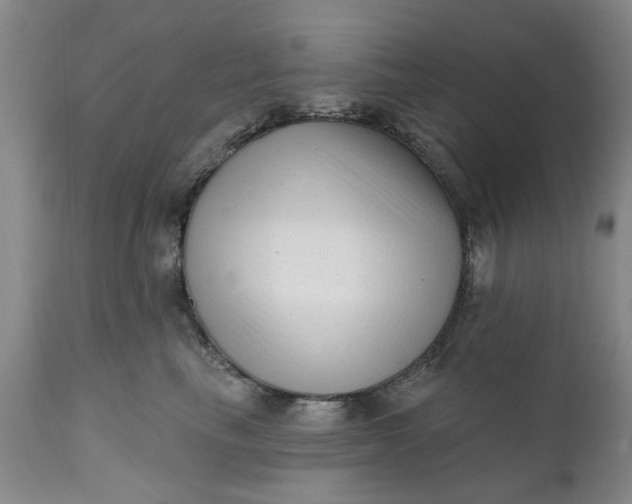 X0000111620665200907311204