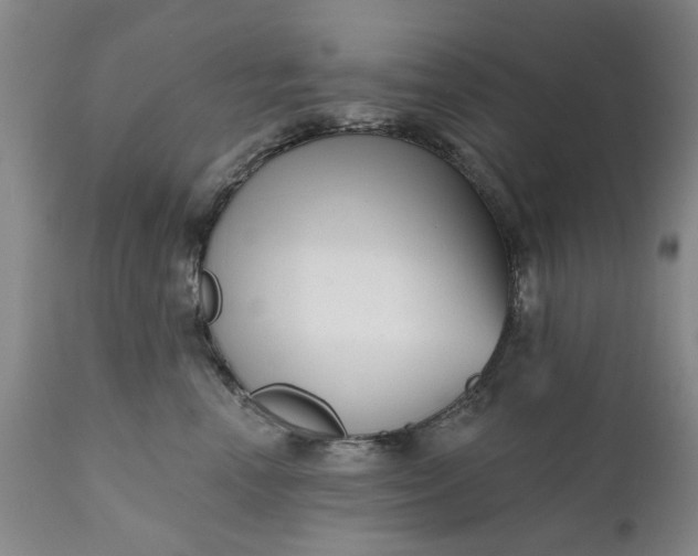 X0000111620666200907311204