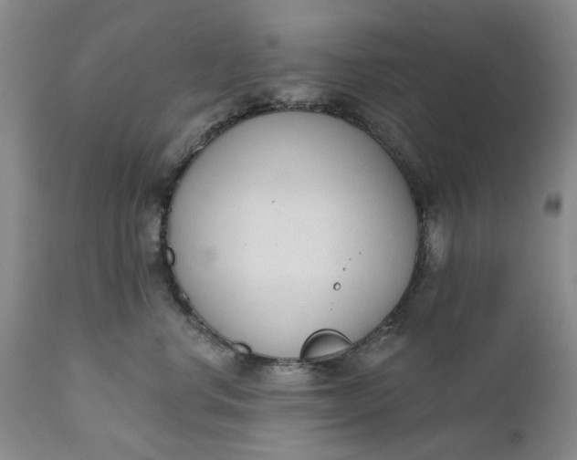 X0000111620668200907311204