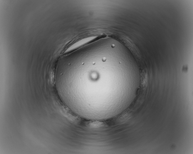 X0000111620669200907311204